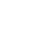 King Bag